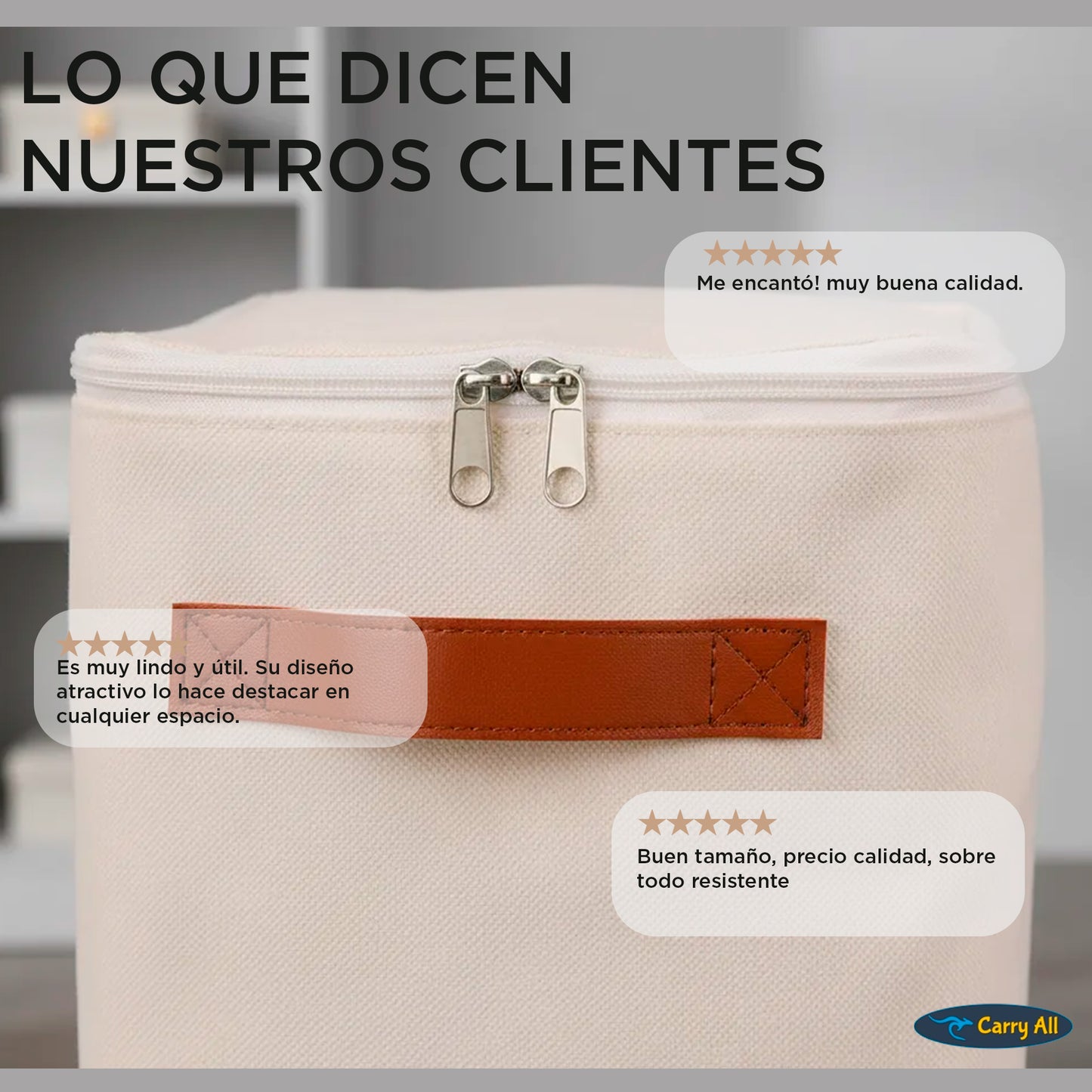 Pack 4 Bolsas Organizadoras Plegables Carry All De Lino S