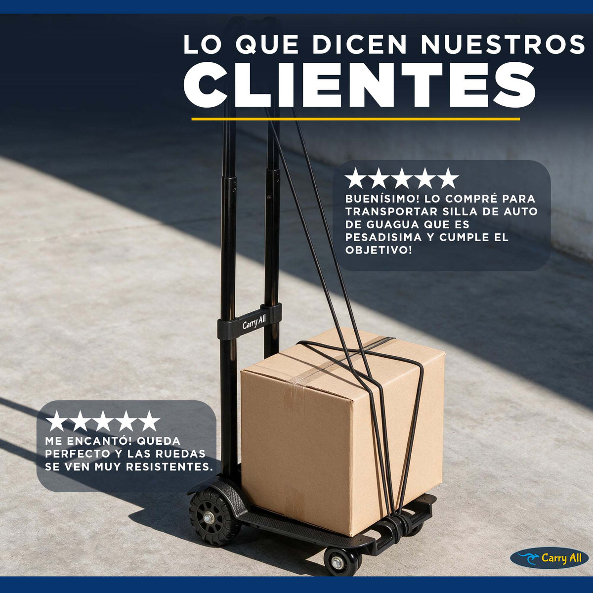 Carro Plegable De Carga Carry All Atenea 65 Kilos Tipo Plataforma Yegua