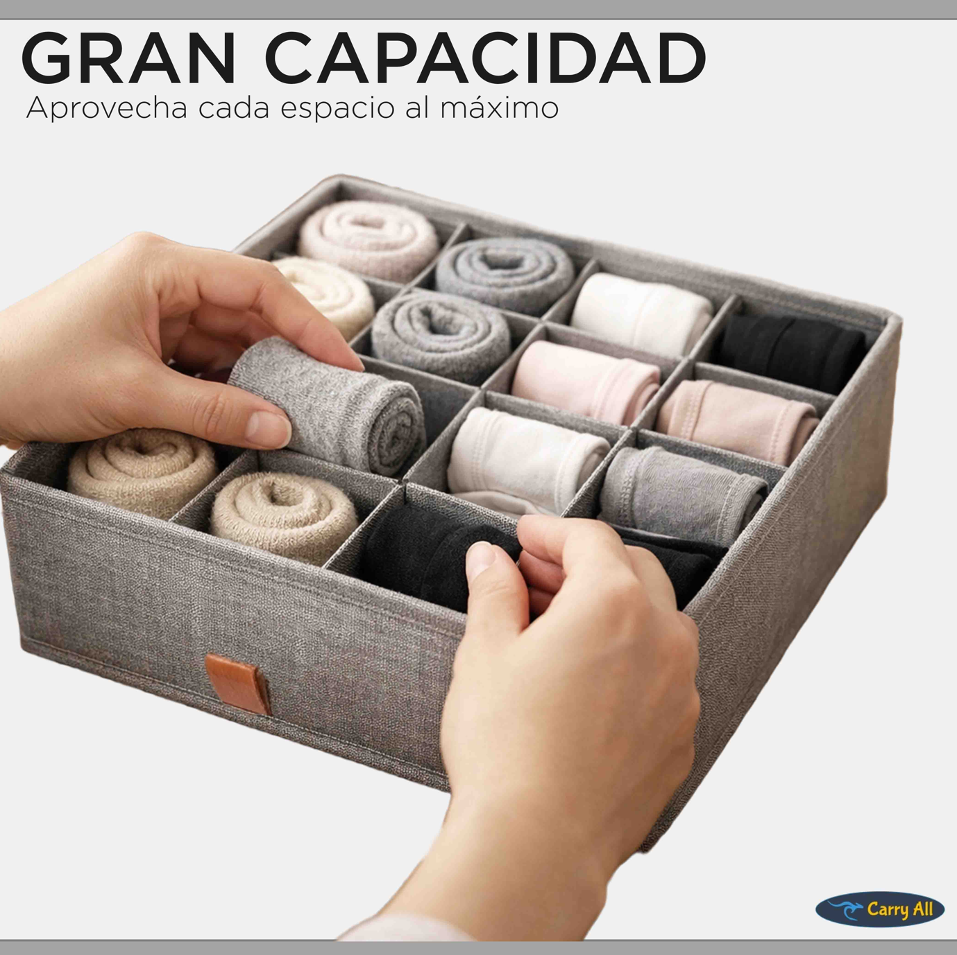 Organizador 16 Divisiones Carry All Ropa Interior Calcetines Accesorio