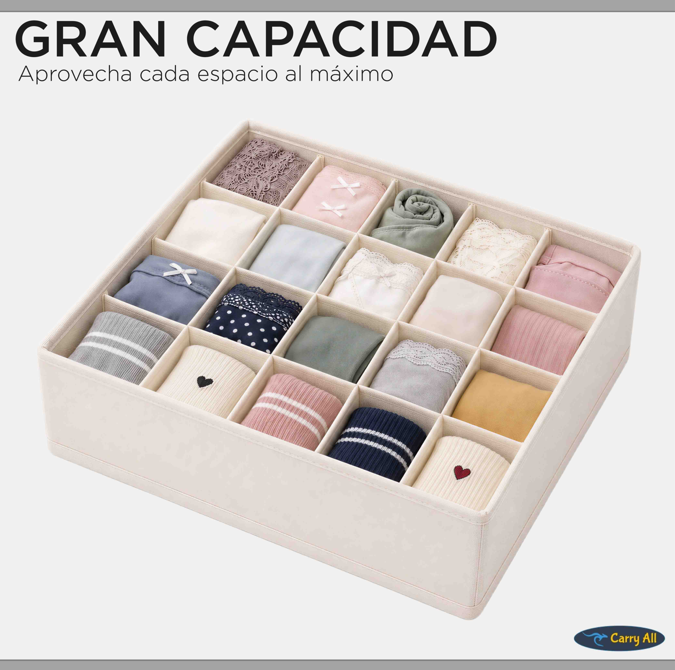 Organizador 16 Divisiones Carry All Ropa Interior Calcetines Accesorios