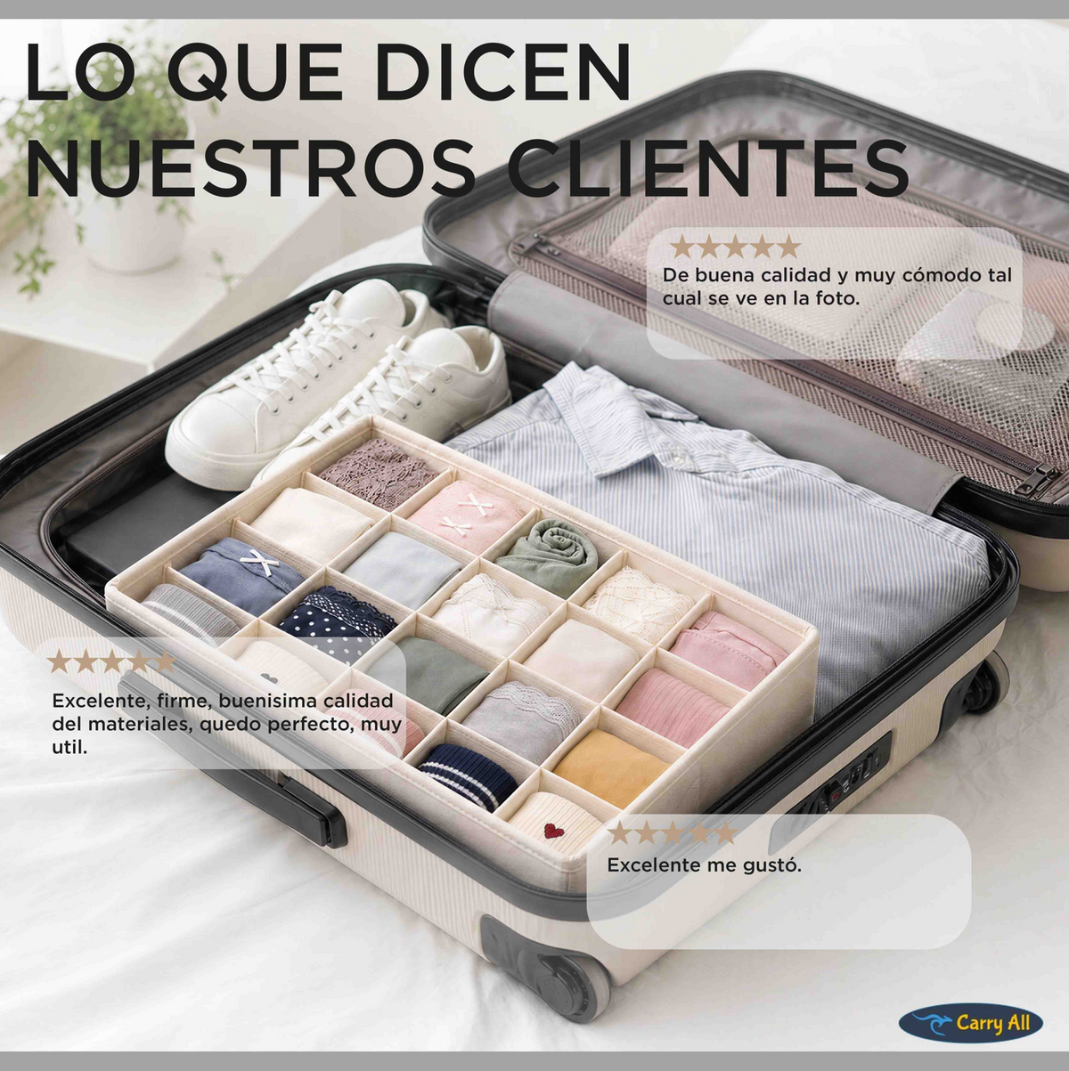 Organizador 16 Divisiones Carry All Ropa Interior Calcetines Accesorios