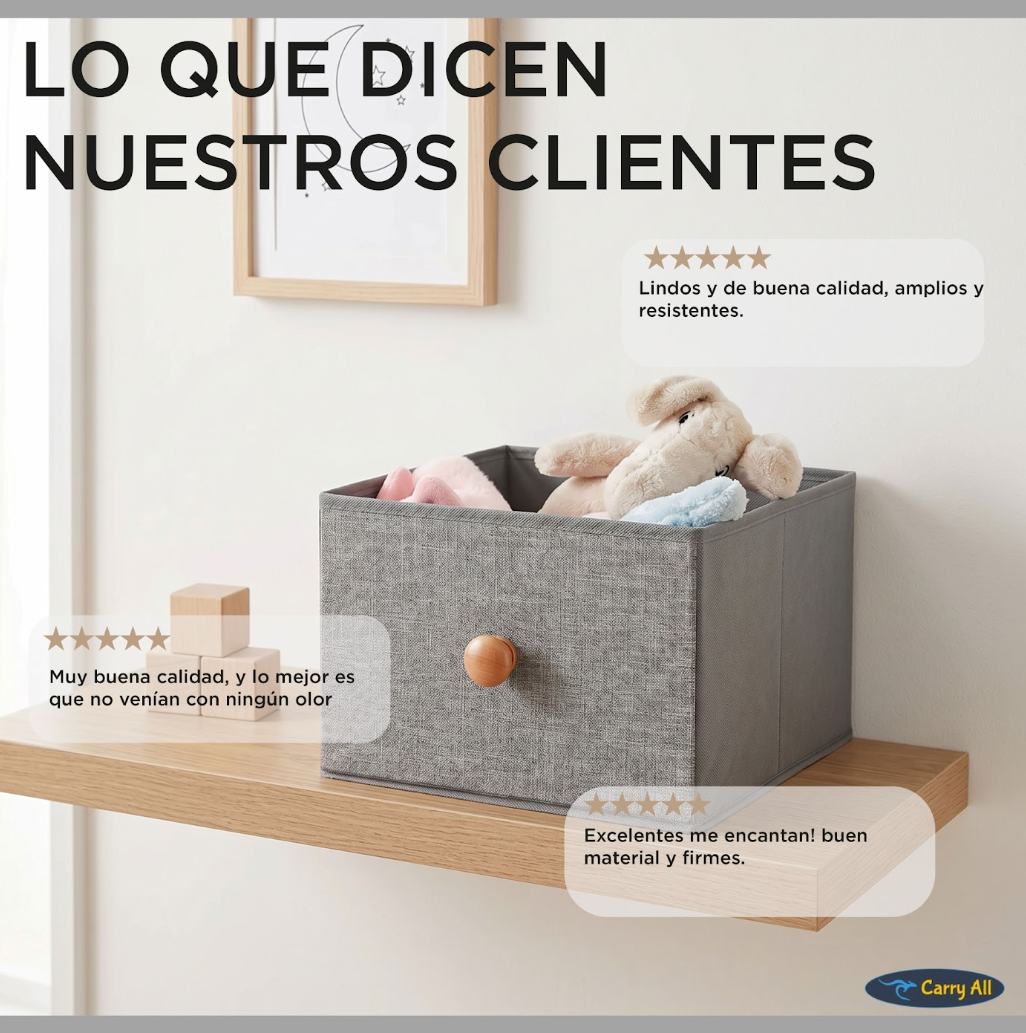 Pack 3 Cajitas Organizadoras Carry All Closet Ropa Accesorios L