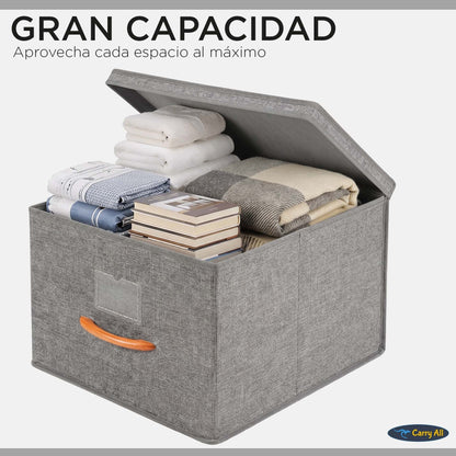 Pack 2 Cajas Organizadoras Carry All Plegables Closet Ropa L