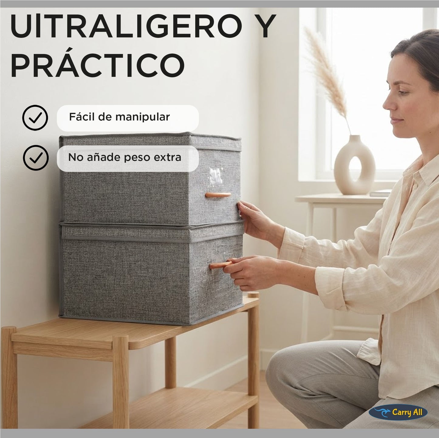 Pack 2 Cajas Organizadoras Carry All Plegables Closet Ropa L