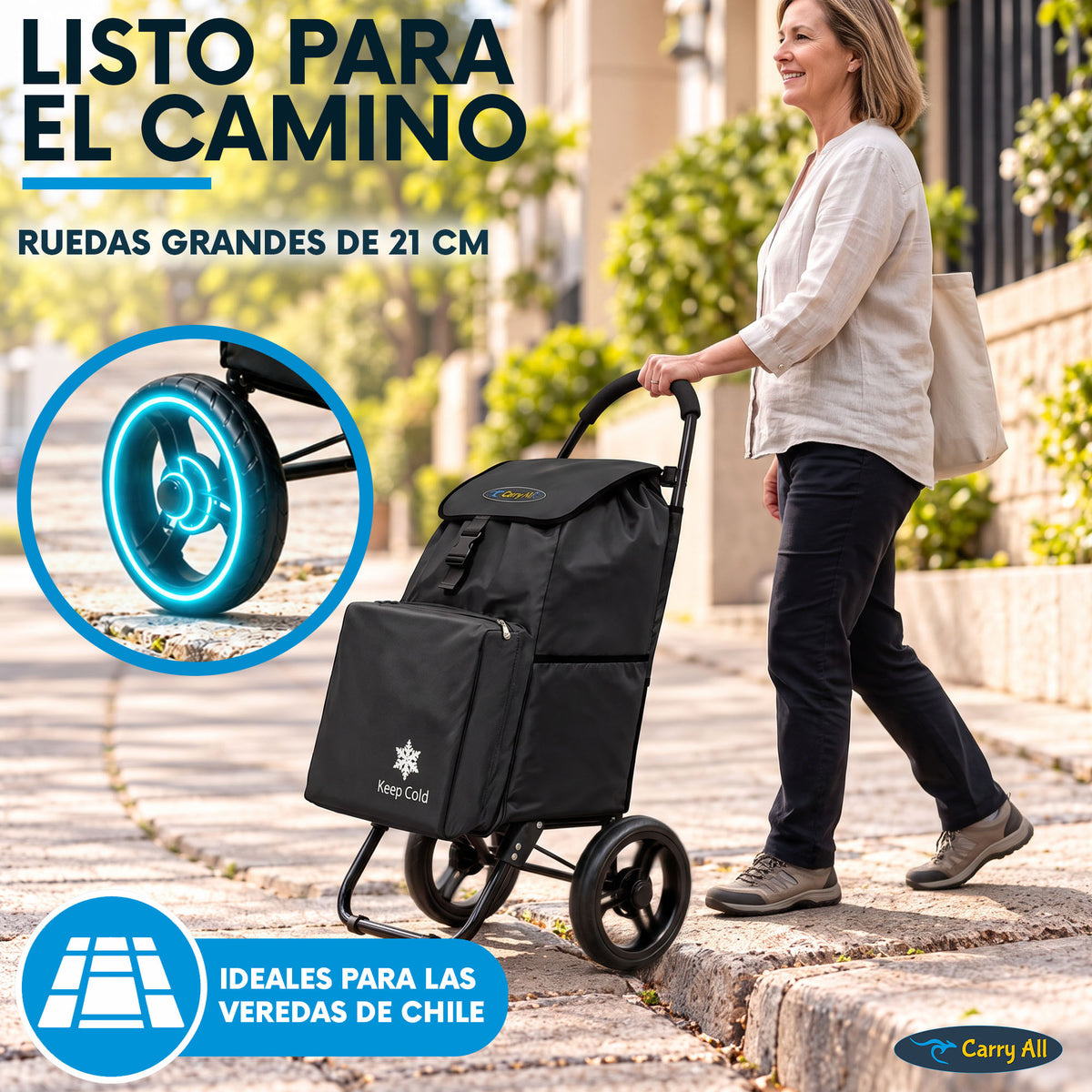 Carrito De Compras Plegable Carry All Sidney 55 Litros Bolsillo Cooler Carro Feria