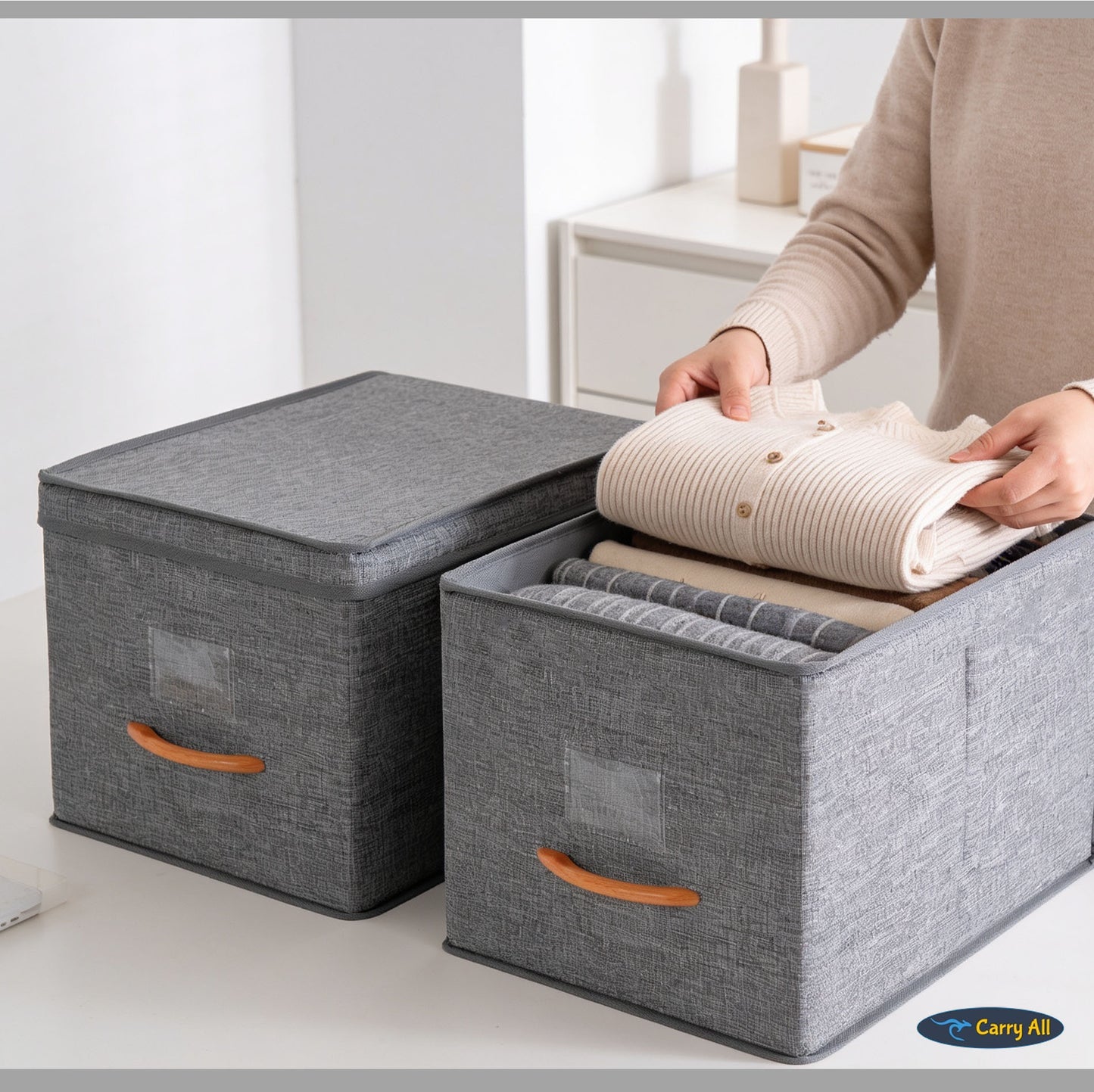 Pack 2 Cajas Organizadoras Carry All®  Closet Ropa Accesorios L
