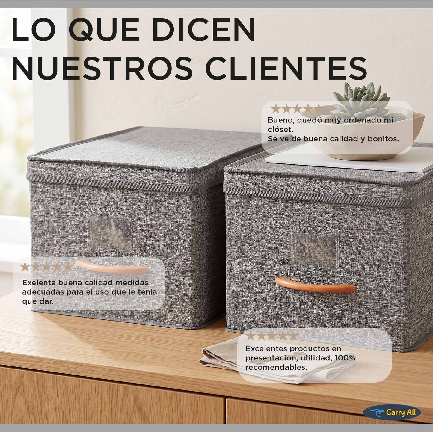 Pack 2 Cajas Organizadoras Carry All®  Closet Ropa Accesorios L