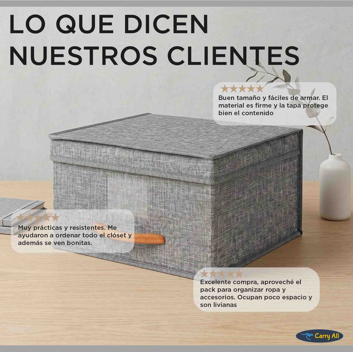 Pack 3 Cajas Organizadoras Carry All Plegables Closet Ropa S