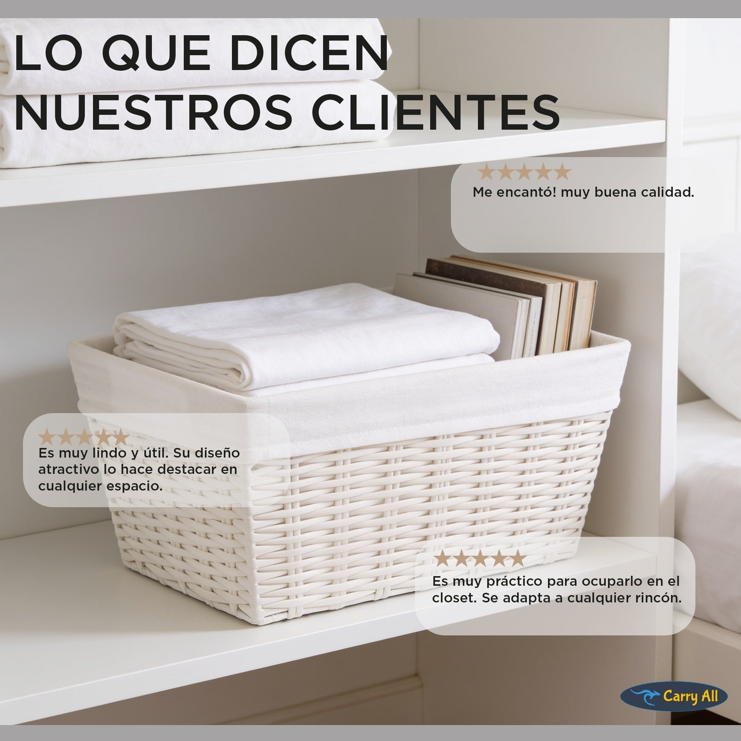 Pack 3 Canastos Cestas Organizadoras Carry All Estilo Ratán Crema S