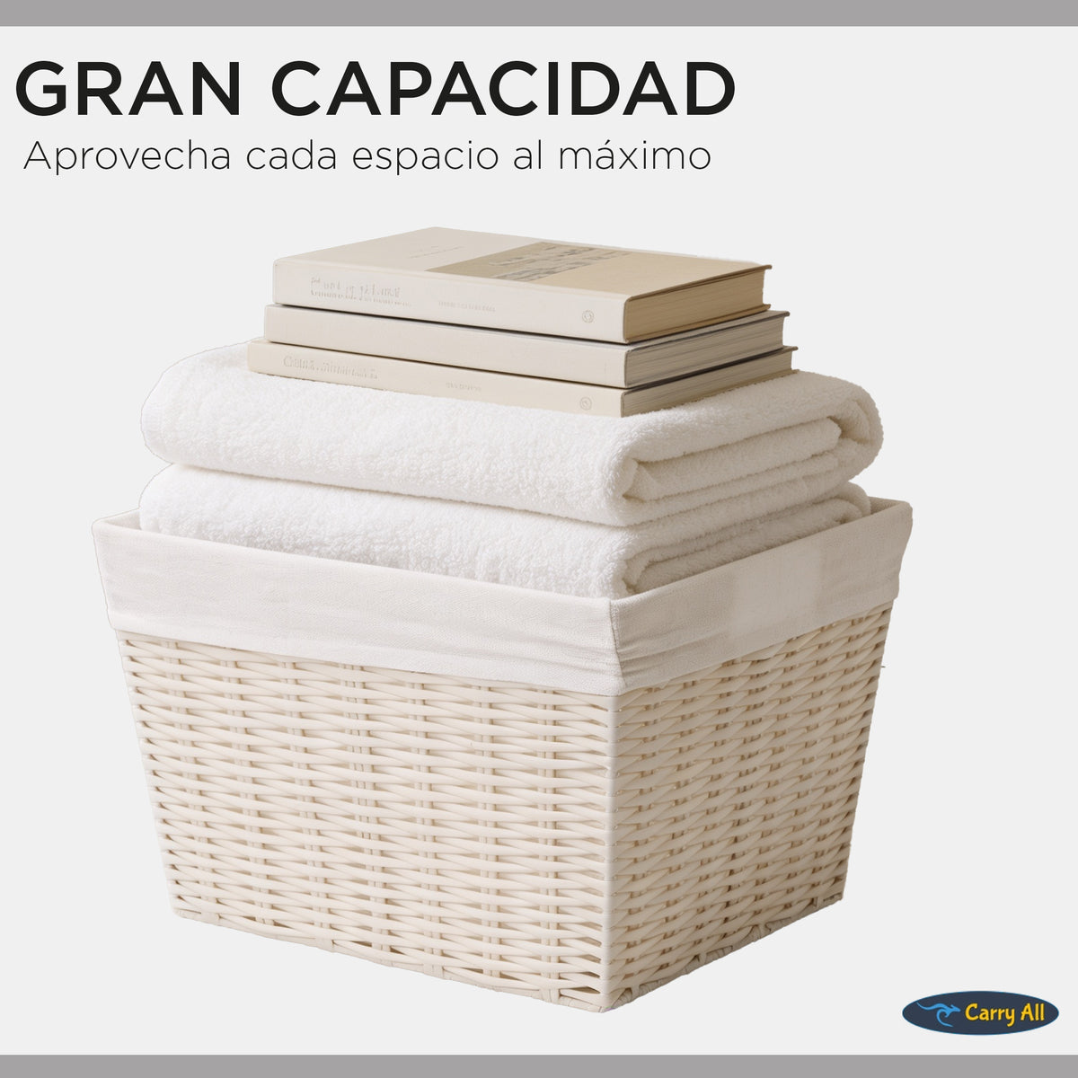 Canasto Cesta Organizadora Carry All Estilo Ratán Beige